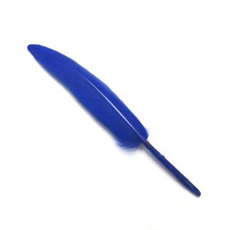 Хөх цэнхэр өд  - хэмжээ 2 х 14 см - 4 ширхэг